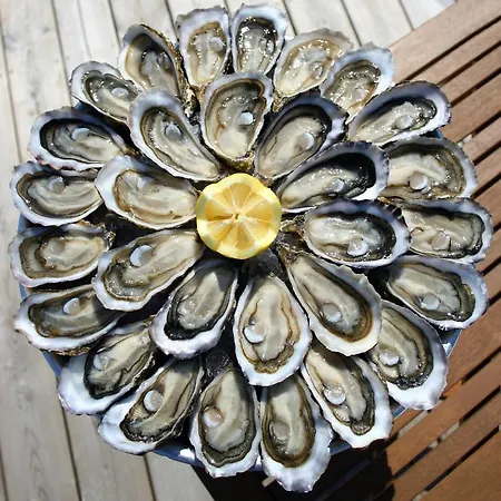 Cotiloft - Terrasse Climatise Au Coeur De Daire *